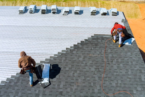 Best Roof Gutter Cleaning  in Aberdeen, NC