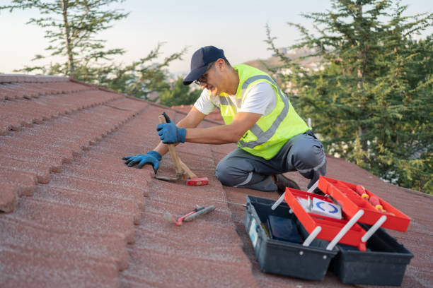 Best Sealant for Roof  in Aberdeen, NC